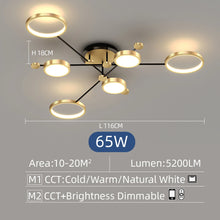 2025 Modern Smart LED Ceiling Light Dimmable Black And Gold Indoor Lamp For Living Room Bedroom Dining Room Home Decor Luminaire