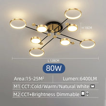 2025 Modern Smart LED Ceiling Light Dimmable Black And Gold Indoor Lamp For Living Room Bedroom Dining Room Home Decor Luminaire