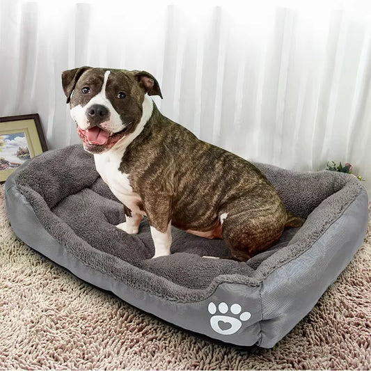 Dog Bed Sofas
