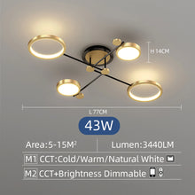 2025 Modern Smart LED Ceiling Light Dimmable Black And Gold Indoor Lamp For Living Room Bedroom Dining Room Home Decor Luminaire
